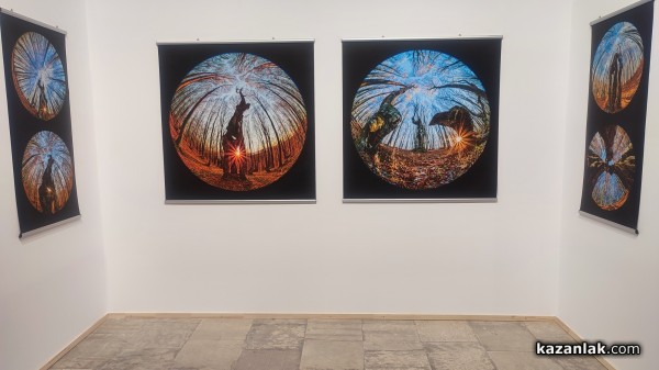 Фотографският тандем Александър Иванов и Илиян Мичев разкри житието на стария бук и отвъд