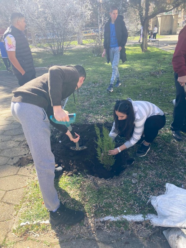 Десетокласници от ПХГ “Св. Св. Кирил и Методий“ засадиха дръвчета в двора на гимназията