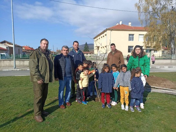 Малчугани и лесовъди от ДЛС “Мазалат” залесяваха в Седмицата на гората 