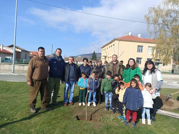 Малчугани и лесовъди от ДЛС “Мазалат” залесяваха в Седмицата на гората 