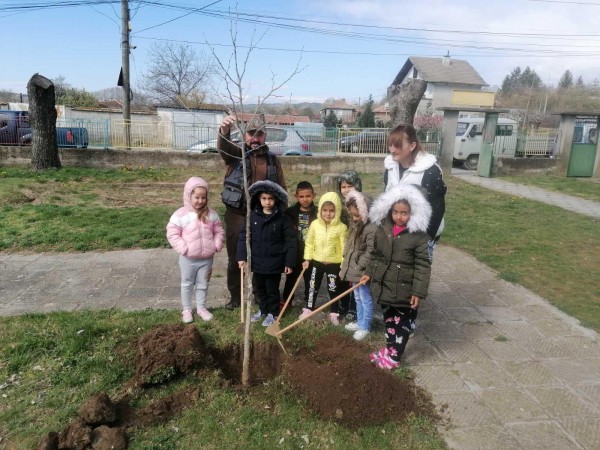 Малчугани и лесовъди от ДЛС “Мазалат” залесяваха в Седмицата на гората 