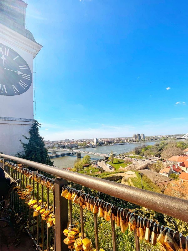 Членове на Младежки общински съвет се върнаха от обмен в Сърбия