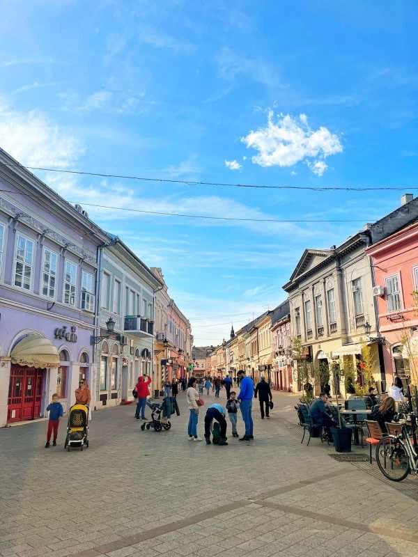 Членове на Младежки общински съвет се върнаха от обмен в Сърбия