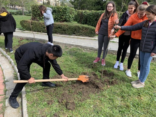 Ученици от ОУ “Георги Кирков“ и младежи от МОС засадиха дръвчета в парк “Васил Левски“