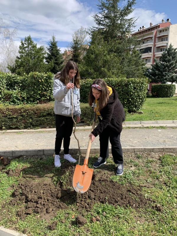 Ученици от ОУ “Георги Кирков“ и младежи от МОС засадиха дръвчета в парк “Васил Левски“