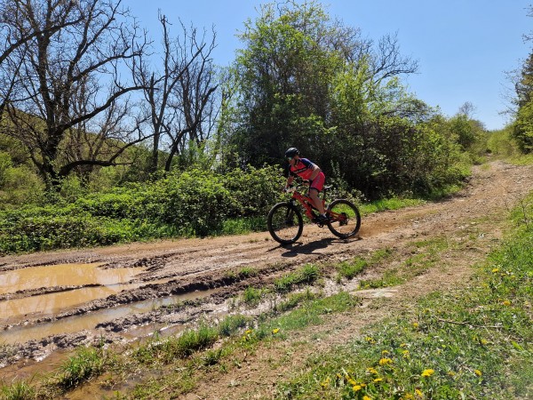 Лястовиците се окичиха с 1 златен и 5 сребърни медала от две състезания