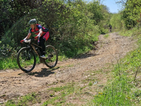 Лястовиците се окичиха с 1 златен и 5 сребърни медала от две състезания