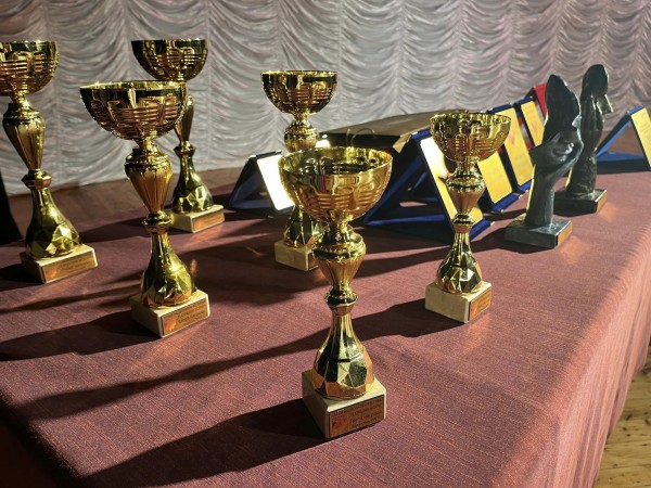 20 награди бяха раздадени в първия театрален фестивал “Театрални искри“