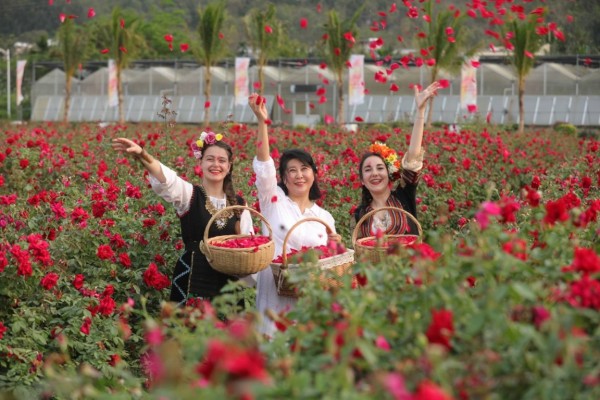 В град Саня, Китай се проведе “1-ия Международен културен фестивал на розата“ 