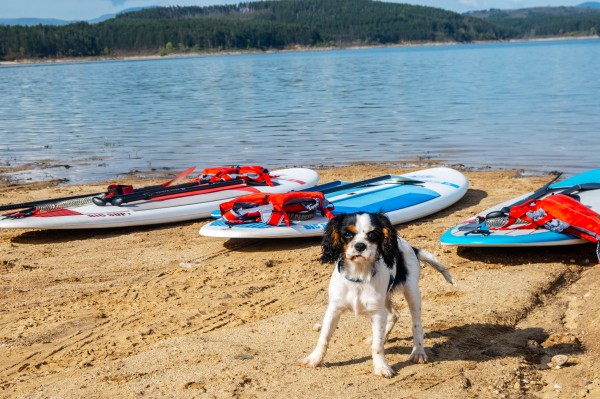 Стотици посетители и клубове от цялата страна събра втората Каяк и SUP среща на язовир Копринка
