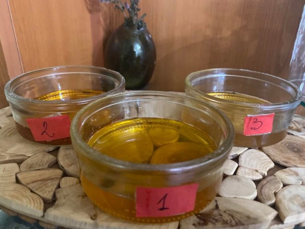 Меденият салон в клуб Хармония СПА донесе емоции и награди на участничките