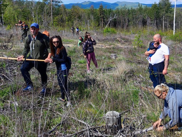 За втора година ендуро клуб “Севтополис“ залесява хиляди фиданки, за да възстанови опожарена гора