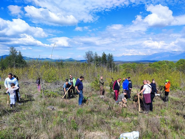 За втора година ендуро клуб “Севтополис“ залесява хиляди фиданки, за да възстанови опожарена гора