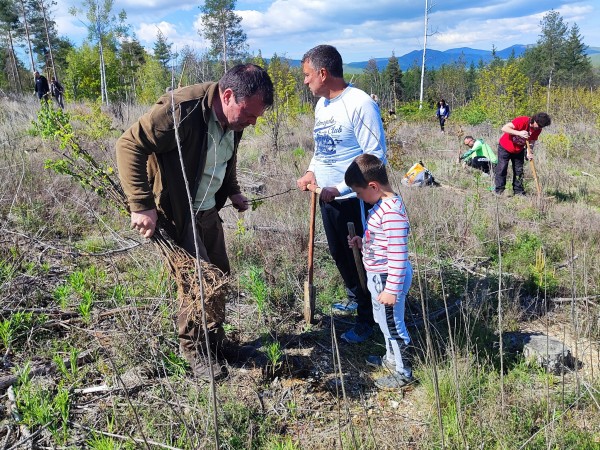 За втора година ендуро клуб “Севтополис“ залесява хиляди фиданки, за да възстанови опожарена гора