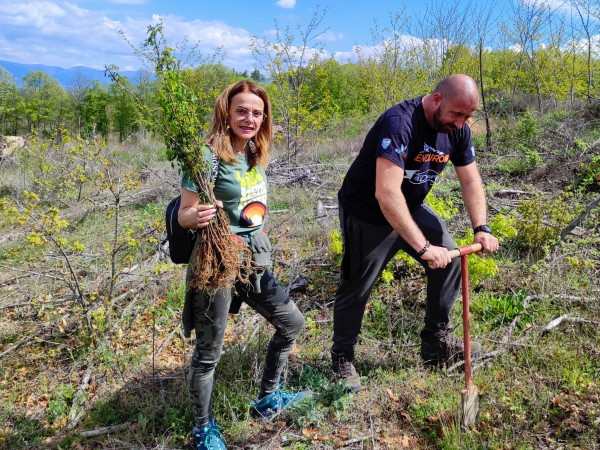 За втора година ендуро клуб “Севтополис“ залесява хиляди фиданки, за да възстанови опожарена гора