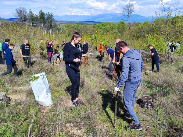 За втора година ендуро клуб “Севтополис“ залесява хиляди фиданки, за да възстанови опожарена гора