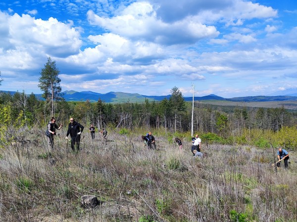 За втора година ендуро клуб “Севтополис“ залесява хиляди фиданки, за да възстанови опожарена гора
