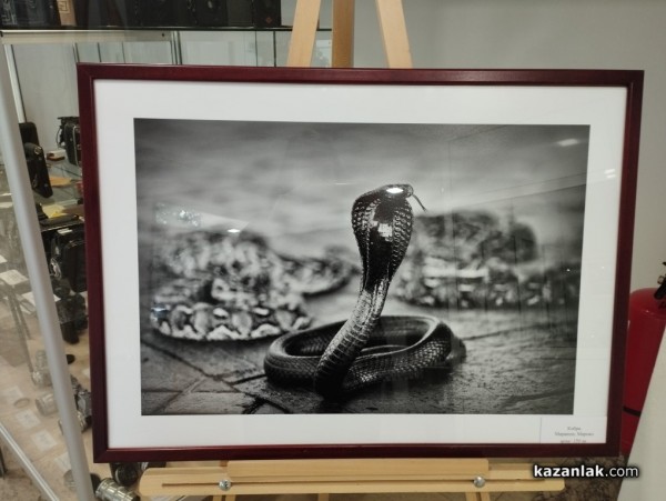 В 40 фотографии Иво Орешков разказа за своите четири вълнуващи пътувания до Монголия ,Мароко, Намибия и Амазония