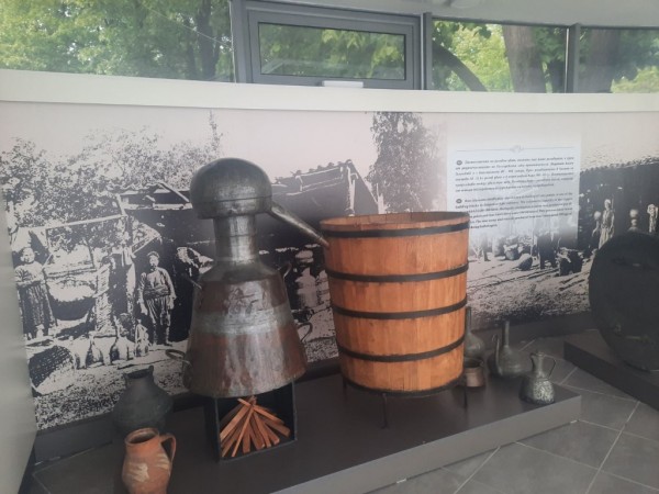 Кандидатките за Царица роза 2023 г. продължават по стъпките “Пътят към короната“