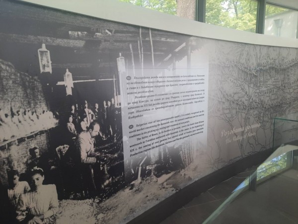 Кандидатките за Царица роза 2023 г. продължават по стъпките “Пътят към короната“