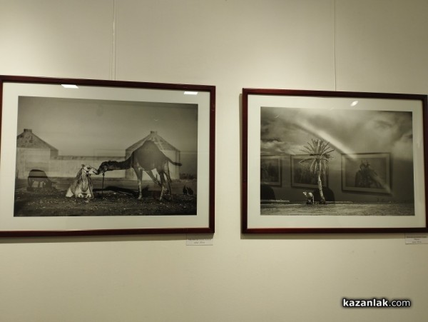 В 40 фотографии Иво Орешков разказа за своите четири вълнуващи пътувания до Монголия ,Мароко, Намибия и Амазония