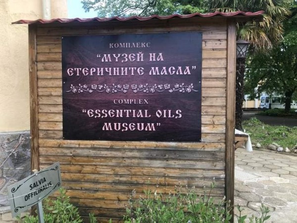 Лечебната сила на етеричните масла търсеха ученици от ПГЛПТ по проект “Иновативно училище“