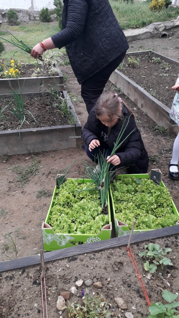 Малчуганите от ОУ “Св. Паисий Хилендарски“ зарадваха потребителите на Социалния патронаж със свежи зеленчуци