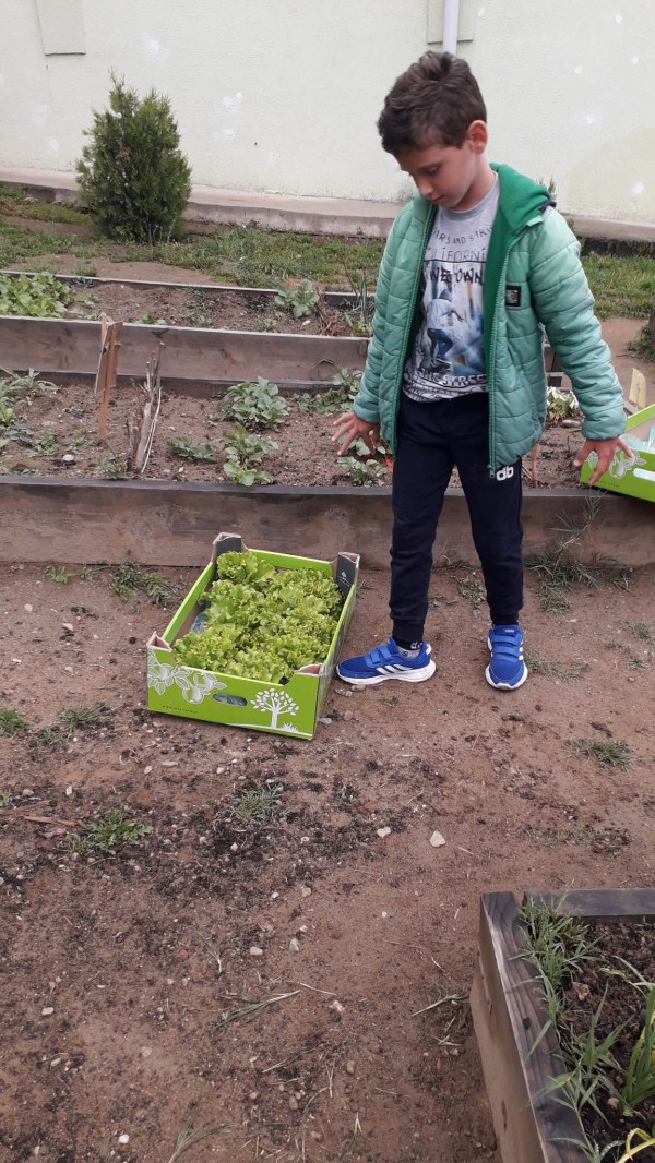 Малчуганите от ОУ “Св. Паисий Хилендарски“ зарадваха потребителите на Социалния патронаж със свежи зеленчуци