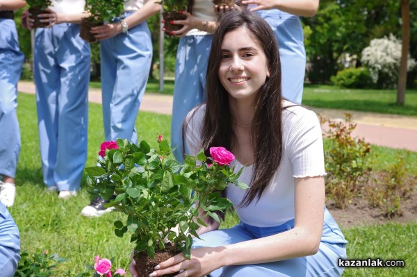 Кандидатките за короната на Царица роза 2023 разкрасиха Розариума с нови рози