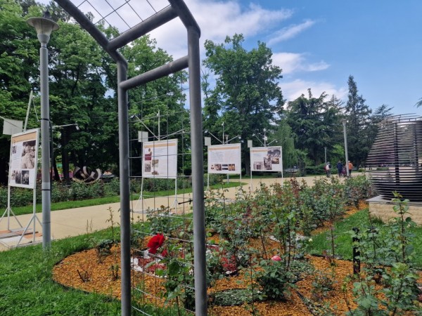 “Българските розотърговци. Родова памет на Казанлък“ - изложба на открито в парк Розариум
