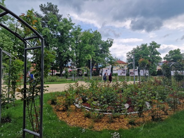 “Българските розотърговци. Родова памет на Казанлък“ - изложба на открито в парк Розариум