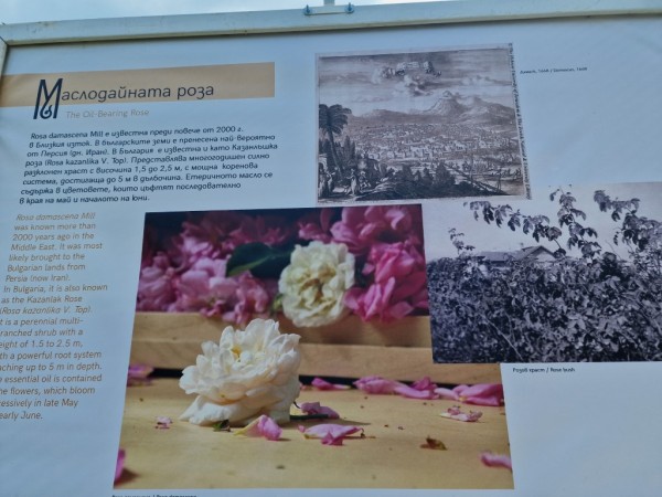 “Българските розотърговци. Родова памет на Казанлък“ - изложба на открито в парк Розариум