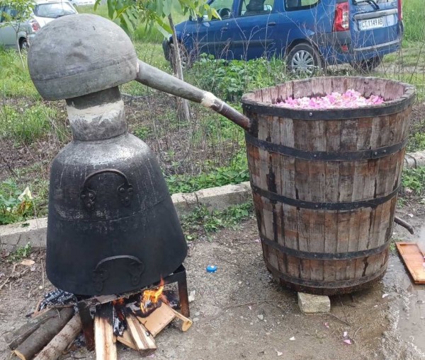 Черганово постави началото на ритуалите “Розобер“ днес