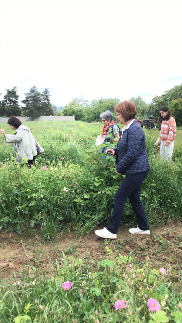 Сутринта започна с ароматен розобер в село Кънчево