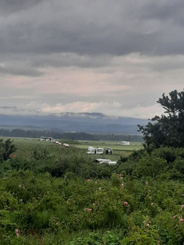 Село Ясеново тази сутрин с ритуал “Розобер“ ви очаква в Розовата долина 