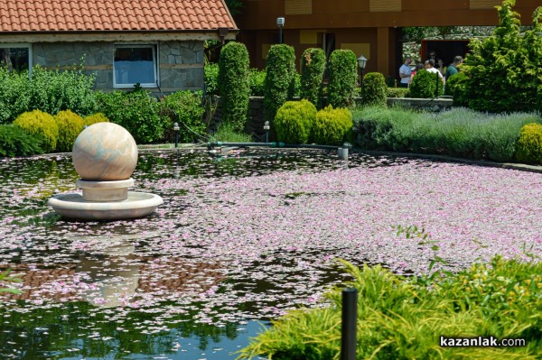 Подарете незабравим празник на своето дете на 1-ви юни в комплекс Дамасцена