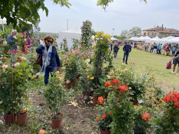 Ползотворни срещи в побратимените на Казанлък градове 