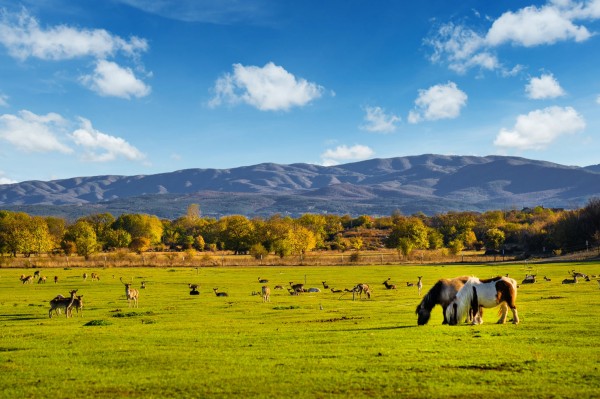 Подарете незабравим празник на своето дете на 1-ви юни в комплекс Дамасцена