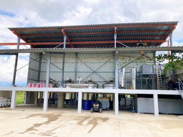 Масиви с роза Дамасцена радват жителите и гостите на японския град Ямагата