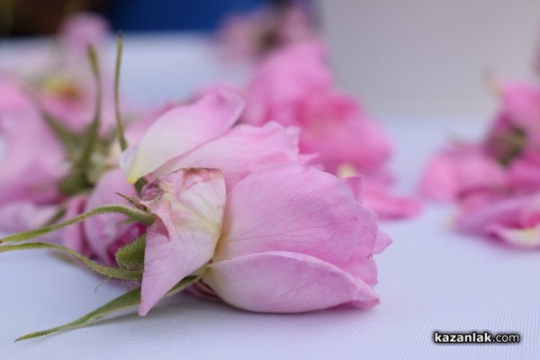 Творбите на 148 художници от 35 страни бяха представени в единадесетото издание на международна изложба Минипринт Казанлък