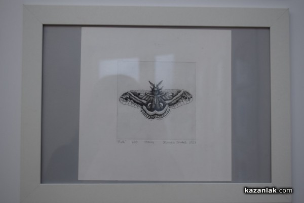 Творбите на 148 художници от 35 страни бяха представени в единадесетото издание на международна изложба Минипринт Казанлък