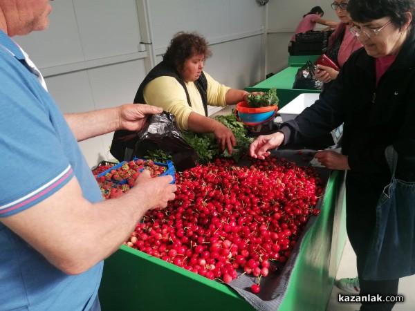 Третият фермерски пазар в Казанлък ви очаква 