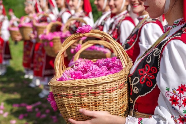 От утре започват Дните на розата в “Дамасцена“
