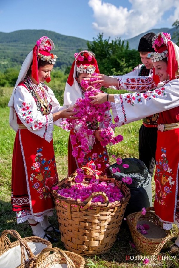 От утре започват Дните на розата в “Дамасцена“