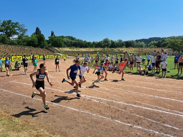 Близо 500 участници се включиха е традиционното издание на “Купа Роза“в Казанлък 
