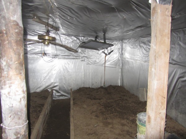 Полицията откри 60 растения коноп край Казанлък. Двама са задържани