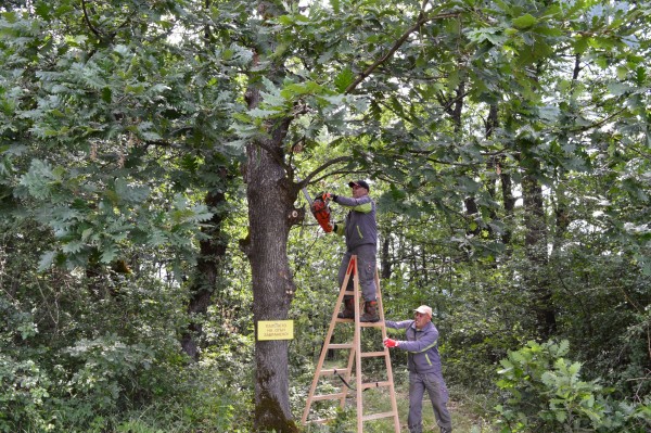 Нови указателни табели ще показват маршрута „По стъпките на четата на Хаджи Димитър и Стефан Караджа“