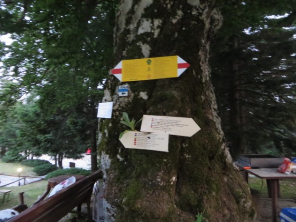 Подновена маркировка около Бузлуджа