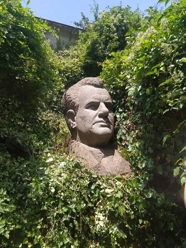 Чужд сред свои или свой сред чужди? 