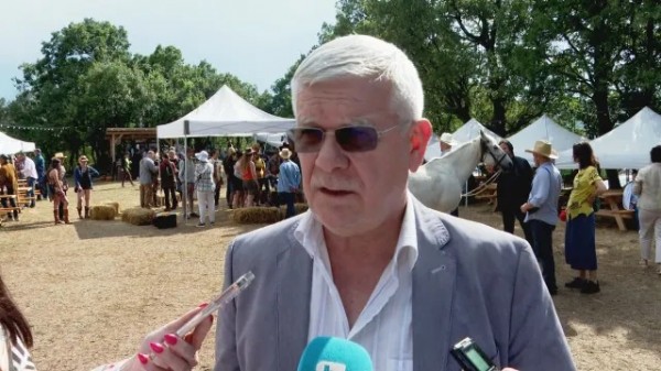 Дървата за огрев: Най-евтини в Казанлък и Бургас 